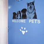 Ναυπακτία: 17χρονος πίσω από μπαράζ κλοπών – «Μπούκαρε» μέχρι και σε κτηνιατρείο