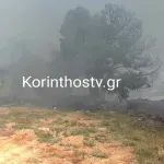 Ζευγολατιό Κορινθίας: Συναγερμός για φωτιά που ξέσπασε σε πευκοδάσος (Βίντεο)