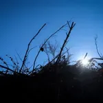 Ακαθάριστα οικόπεδα: Αυστηρότερα πρόστιμα και έλεγχοι – Τι πρέπει να κάνετε έως 15 Ιουνίου