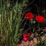 Πως θα εξελιχθεί ο καιρός ως την Κυριακή του Πάσχα