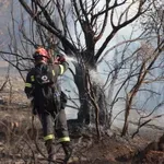 Αντιπυρική περίοδος 2026: Ξεκινά η έκδοση ημερήσιου Χάρτη Πρόβλεψης Κινδύνου Πυρκαγιάς