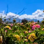 Πώς θα κυλήσει ο καιρός ως το Πάσχα: Βροχές έως το Μεγάλο Σάββατο – Άνοιξη και 28άρια την Κυριακή