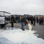 Αφθώδης πυρετός: Ενισχύσεις 8 εκατ. ευρώ για τους τυροκόμους της Λέσβου (Βίντεο)