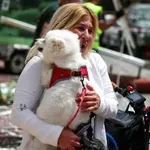 Χάος προκάλεσαν σε γειτονιά του Τελ Αβίβ ιρανικοί πύραυλοι (Βίντεο) – «Έχετε 48 ώρες ακόμη», το νέο τελεσίγραφο Τραμπ