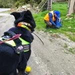 Περιβαλλοντικό έγκλημα στον Πάρνωνα: Εντοπίστηκαν δεκάδες δηλητηριασμένα δολώματα σε περιοχή Natura 2000
