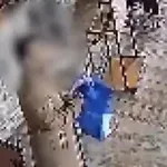 Τουρκία: Στη φυλακή παραμένουν οι δύο Έλληνες που άνοιξαν ελληνική σημαία στην Αγιά Σοφία