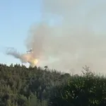 Φωτιά στη Σκιάθο: Πυρκαγιά στον Πλατανιά από καύση χόρτων (Βίντεο) – Επιχειρούν επίγεια και εναέρια μέσα