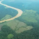 Η καταστροφή των τροπικών δασών επιβραδύνεται, αλλά παραμένει ανησυχητική