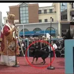 Ο Αμβρόσιος χτύπησε σκύλο με την ποιμαντορική ράβδο για να τον απομακρύνει (Βίντεο)