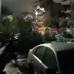 Κλειστή η Πειραιώς από πτώση δέντρου – Δεκάδες επεμβάσεις της Πυροσβεστικής λόγω ισχυρών ανέμων (Βίντεο)