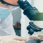 Ισχυρός συσχετισμός μεταξύ της έκθεσης σε φυτοφάρμακα και του κινδύνου εμφάνισης καρκίνου