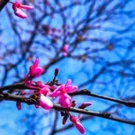 Εργατική Πρωτομαγιά 2026: Υποχρεωτική αργία με αυξημένες αμοιβές – Τι πληρώνεται σε όσους εργαστούν – Προσαύξηση 75% και αυστηροί κανόνες