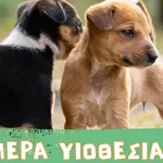 Παγκόσμια Ημέρα Αδέσποτων Ζώων: Το Φεστιβάλ στο Πεδίο του Άρεως και η έκκληση για υιοθεσίες