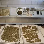 Λάρισα: Χειροπέδες σε 22χρονο που διακινούσε ναρκωτικά – Τι βρέθηκε σπίτι του (Φωτό & Βίντεο)