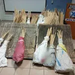 Χίος: Εντοπίστηκαν και κατασχέθηκαν 1.181 αυτοσχέδιες στον Βροντάδο