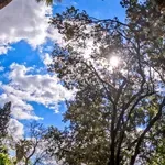 Ο καιρός του Σαββάτου: Ηλιοφάνεια με μικρή πτώση της θερμοκρασίας – Πού θα βρέξει