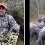 Βίντεο σοκ: Εξαγριωμένος ελέφαντας ποδοπατά και σκοτώνει Αμερικανό εκατομμυριούχο