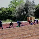 Συναγερμός στην Αχαΐα: Δέκα κρούσματα φυματίωσης σε εργάτες γης – Νοσηλεύονται στο ΠΓΝΠ