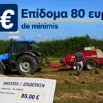 Επίδομα 80 ευρώ: Άνοιξε η πλατφόρμα για την de minimis – Ποιοι είναι οι δικαιούχοι