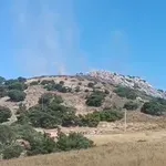 Οριοθετήθηκε γρήγορα η φωτιά στην Πλάκα Λαυρεωτικής – Δεν απειλήθηκαν κατοικίες (Βίντεο)