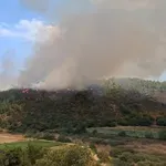 Φωτιά στα Πλατάνια Ωρωπού – Μήνυμα 112 στους κατοίκους