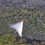 Κόνιτσα: Φωτιά σε δασική έκταση – Επιχειρούν 3 ελικόπτερα