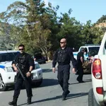 Χανιά: «Χρυσή» σοδειά κάνναβης στον Αποκόρωνα – Πάνω από 700 δενδρύλλια εντόπισε drone της ΕΛ.ΑΣ.