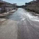 Κηφισός ώρα μηδέν: «Αναπνέουμε τα απόβλητα ενός κινούμενου οχετού» – Βίντεο με ψάρια που πεθαίνουν από την έλλειψη οξυγόνου
