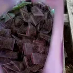Σπείρα ανηλίκων διακινούσε ναρκωτικά σε σχολικές τσάντες – Οι συλλήψεις στο Κεφαλάρι Κηφισιάς