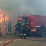 Πυρκαγιές σε Δαμάσι Θεσσαλίας και Μυλοχώρι Κιλκίς – Κατακαίουν δασικές εκτάσεις