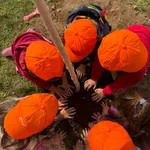 ΔΕΗ – WE4ALL: Συνεργασία για την ολιστική αναγέννηση της Βόρειας Εύβοιας