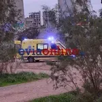 Χαλκίδα: Θανάσιμη πτώση 19χρονου από την Υψηλή Γέφυρα – Στο «μικροσκόπιο» τα αίτια