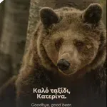 Αρκτούρος: Πέθανε στα 39 της η «Κατερίνα» – Η αρκούδα που έγραψε τη δική της ιστορία