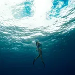 Η Τόροτσικ στα 108 μέτρα: Η κατάδυση με μία ανάσα – Nέο ρεκόρ υπό επίσημη επικύρωση