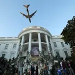 Τραμπ: Εντολή στο Air Force One για χαμηλή διέλευση στο Halloween και καθυστέρηση για… 202 πτήσεις (Βίνετο)