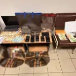Απάτη εκατομμυρίων με εράνους για άρρωστα παιδιά: Έξι συλλήψεις, πολυτελής ζωή και στημένοι ποδοσφαιρικοί αγώνες