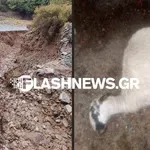 Κακοκαιρία στην Κρήτη: Εικόνες καταστροφής στον Ομαλό Χανίων