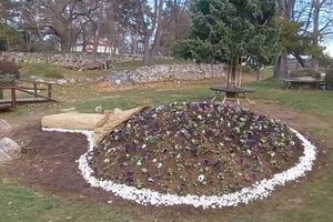 Veliki buket od trske i cveća krasiće Nišku tvrđavu (VIDEO)