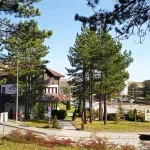 Isplivao novi snimak Zlatibora iz vazduha i ljudi su šokirani