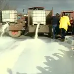 Proizvođači mleka Srbije: Devalvirani podsticaji u mlečnom govedarstvu, potrebno ograničiti uvoz