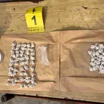 Policija uhapsila dvojicu dilera na Novom Beogradu: Zaplenjeno 183 grama heroina FOTO