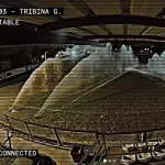 VIDEO Huligani "potopili" teren u okolini Beograda: Sve uradili tokom noći, kamera ih snimila