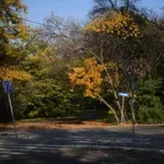 U Srbiju danas pretežno sunčano i toplije