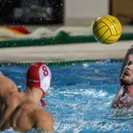 Vaterpolista Srbije nasmejao sve: „Neka nas biju, tući ćemo i mi“