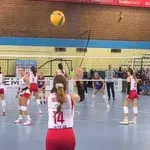 Odbojkašice Zvezde gostuju u Belgiji: Kup izazivača u punom jeku