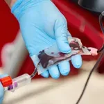 Većina 100-godišnjaka ima istu krvnu grupu