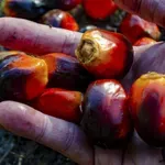 Ovo je jedan od najčešćih sastojaka u proizvodima koje kupujemo u marketu, a evo kakav haos u organizmu može da napravi