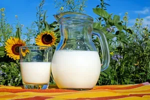 Mleko: Pomemben vir kalcija in beljakovin