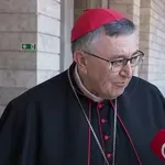 Kardinal Puljić je na srečanju z novim papežem komentiral tudi politiko Donalda Trumpa