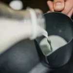 Nikoli več ne zlivajte mleka v odtok!